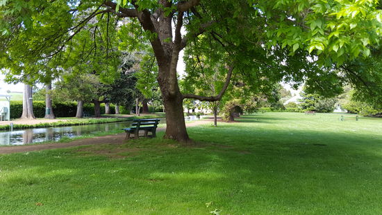 Mit verschiedenen Fischteichen