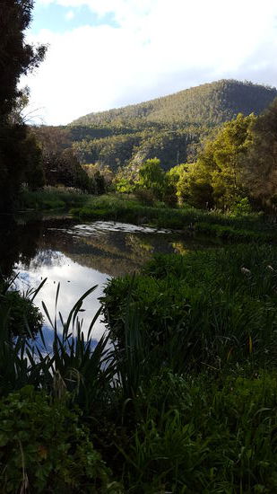 Spaziergang durch eine wunderschöne Natur