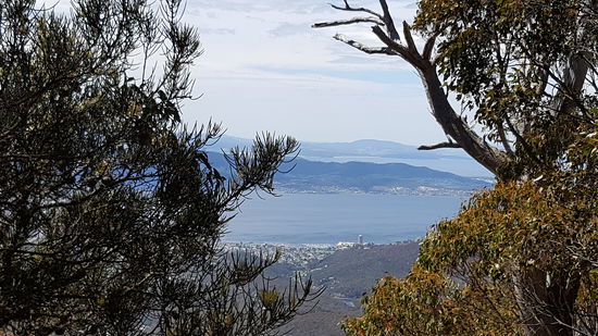 Aussicht auf Wellington
