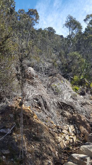 Spuren eines Felssturzes