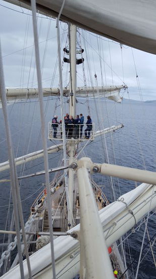 Die Plattform uns gegenüber