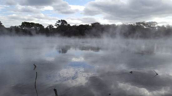 Ein dampfender See im Stadtpark