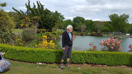 Bäri zwischen Rosen im Stadtpark