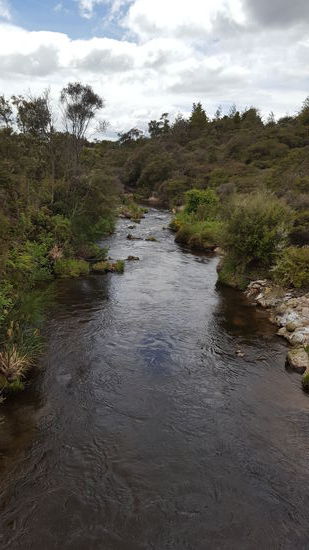 Ein hübscher Fluss im Park