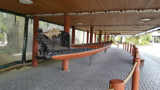 Ein Maori-Kanu aus 1 Baum geschnitten