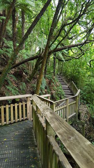 Der Weg zum Wasserfall