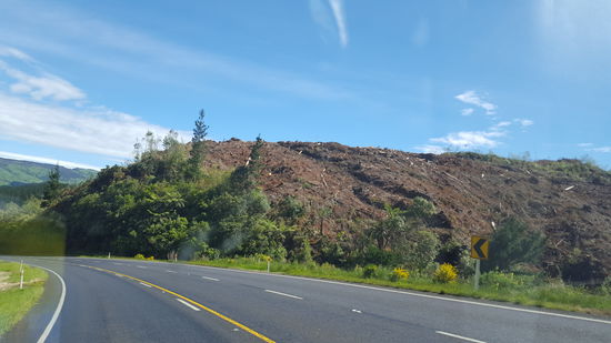 Überall sieht man hügelweise abgeholzte Wälder