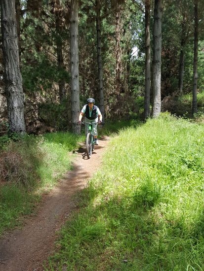 Wunderbare Singletrails!