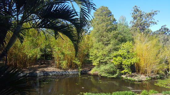 Einer der verschiedenen Teiche