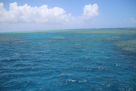 Der Ausflug zu dem Great Barrier Reef