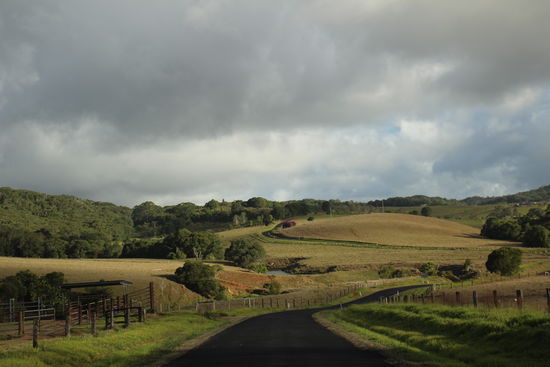 Auf dem Weg zu den Atherton Tablelands