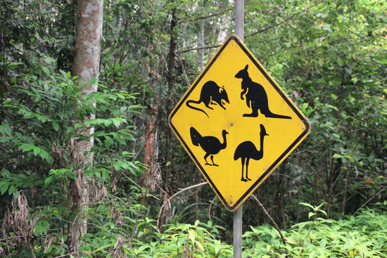 Echt witzige Schilder sind uns unterwegs begegnet