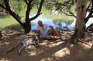 Im Billabong Sanctuary, entspannt im Schatten