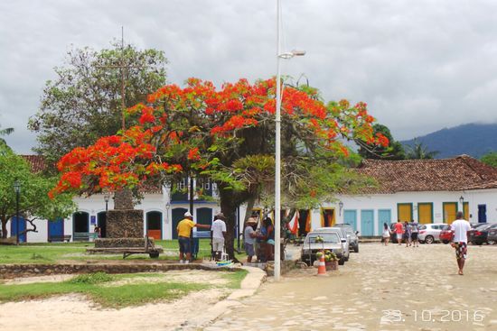 Und blühende Bäume, hier ist ja jetzt Frühling.