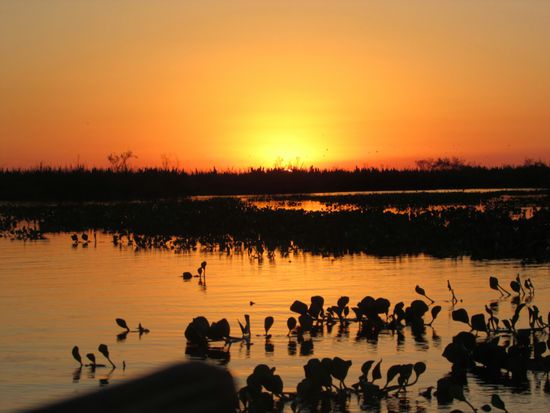 So ein Bild darf natürlich nicht fehlen.