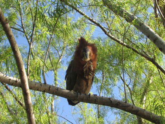 Der sieht ja graesig aus