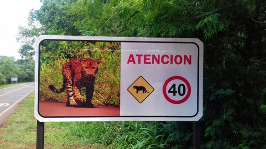 Leider haben wir keinen gesehen.
- Zufahrtsstraße zum Nationalpark -