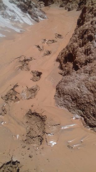 Teilweise ist der Weg noch matschig.