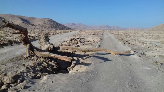 Es hat früher ganze Wälder gegeben. Sie wurden abgeholzt zum Bau der Minen und zum Heizen der Siedepfannen.