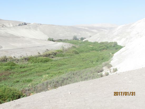 Ab und zu durchqueren wir auch Flussläufe.