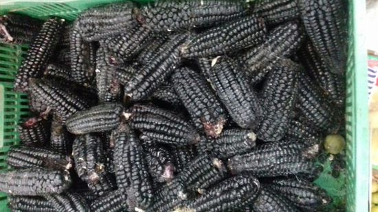 Auf dem Markt in Cusco gibt es schwarze Maiskolben? ...