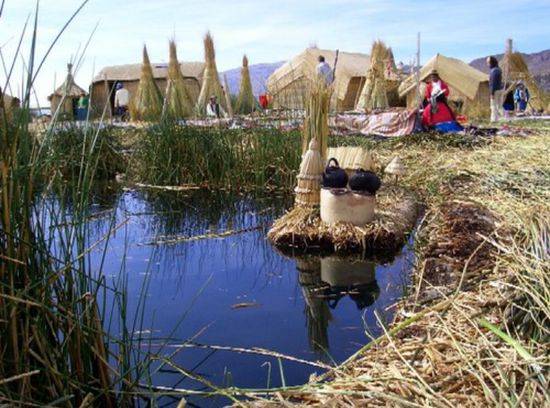 Hier werden Fische frischgehalten.