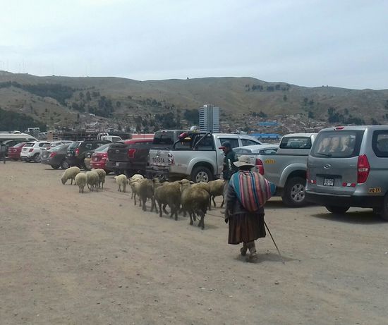 Auf dem Parkplatz in Puno