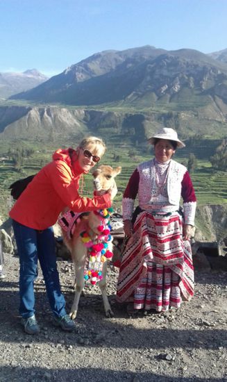 Die Tiere fassen sich schön an.