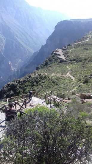 Colca-Canyon - ein Blick in 1.200 m Tiefe. Er ist aber nicht so spektakulär wie der Grand Canyon (aber der ist, glaube ich, auch nicht zu toppen)
Am Cruz del Condor. Hier schrauben sich jeden Morgen die Kondore bei aufsteigenden Winden in die Höhe. Wir sind scheinbar zu früh da und sehen leider keine. Erst bei einem weiteren Halt am Canyon können wir zwei beobachten.