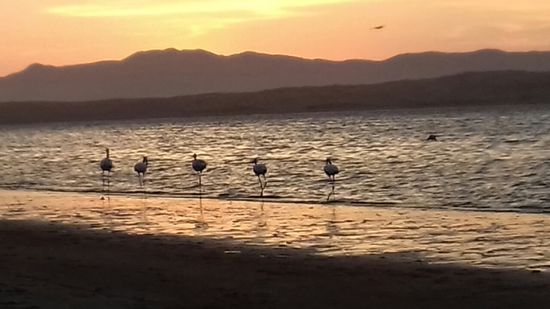 Schnell geht die Sonne unter.