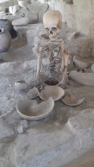 Ein ehemaliger Wüstenbewohner.