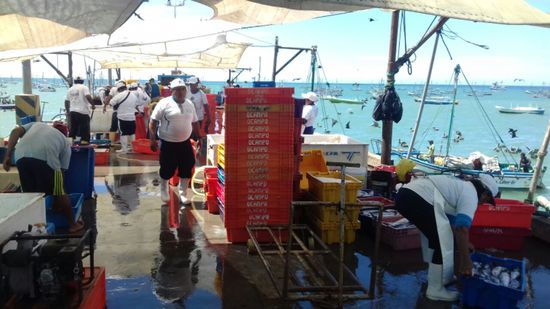 Bei Tortugas erreichen wir wieder den Pazifik