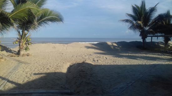 Die nächsten Tage verbringen wir beim schönen Swisshotel, direkt am Pazifik.