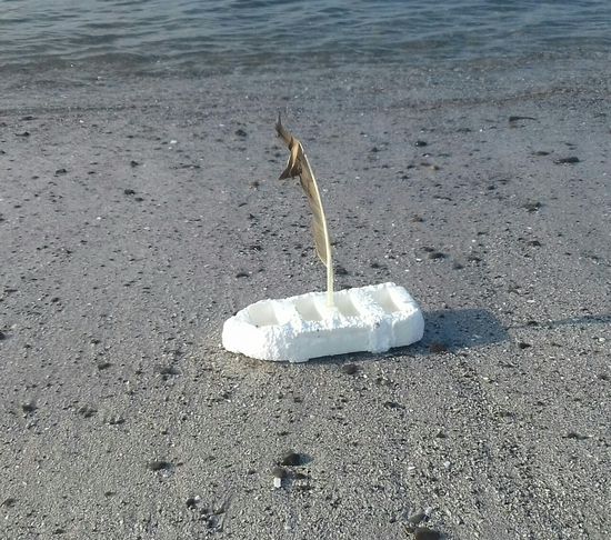 Am nächsten Morgen sehen wir das ein kleines Schiff angetrieben wurde.