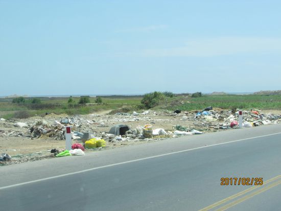 Je weiter wir nach Norden kommen, um so bunter wird die Landschaft.