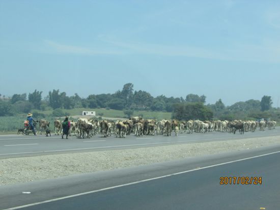 Die Wüste haben wir hinter uns gelassen, endlich nach ca. 4.500 km.
