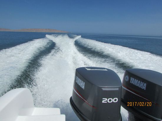 Mit einem Speedboot geht es zu den Islas Ballestas.