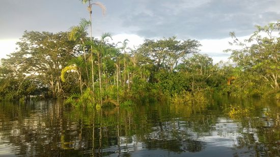 ... und dann fahren wir 2 Std. mit dem Boot bis zur Lodge Guacamayo.
Wir haben Glück, dass gerade Regenzeit ist und die Flüsse soviel Wasser führen. Ansonsten dauert die Fahrt mit dem Boot bis zu 8 Stunden.