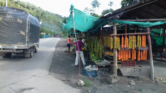 Einkaufen am Wegesrand, man bekommt alles.