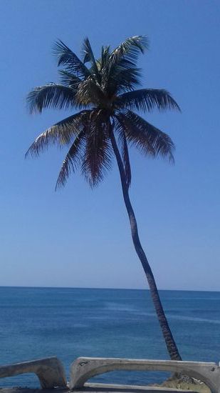 Die Dom. Rep. begrüßt uns mit strahlendem Sonnenschein. Hier ist zurzeit keine Regenzeit.