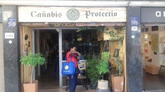 Hier gibt es kein Haschisch zu kaufen.
sondern Hanferzeugnisse, Tragetaschen , Hosen, Hemden usw.
aber es riecht nach Cannabis.