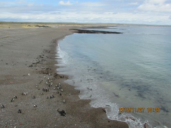 Ein ständiges Kommen und Gehen