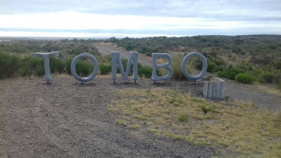 Hier leben ca. 500.000 Magellan-Pinguine.