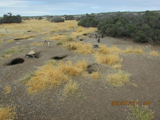 Dicht an dicht die Wohnhöhlen