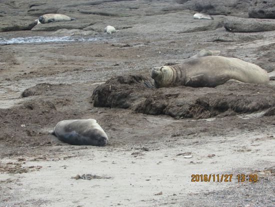 Den ganzen Tag faul in der Sonne liegen.