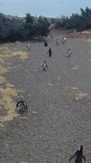 Fußweg von und zum Meer.