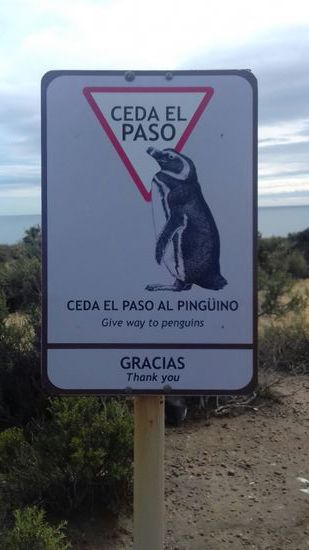 Keine Frage wer Vorfahr hat.