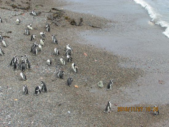 Und einige halten auch Klönschnack.