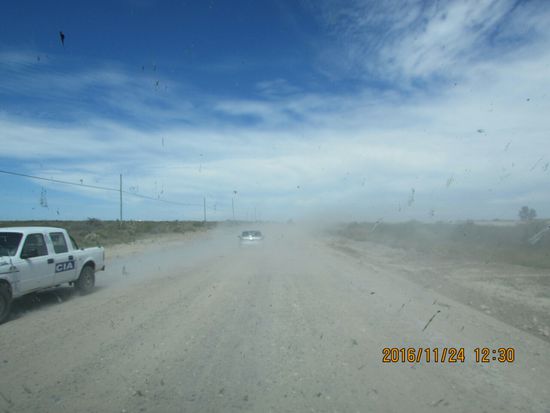 Auf der Fahrt zu dem Strand, von dem man die Wale beobachten kann.
Leider sind wir zu spät angekommen. Die Wale haben den Golfo Nuevo schon verlassen.