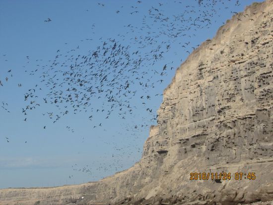 Der nächste Morgen, wir werden von infantilem Lärm geweckt.